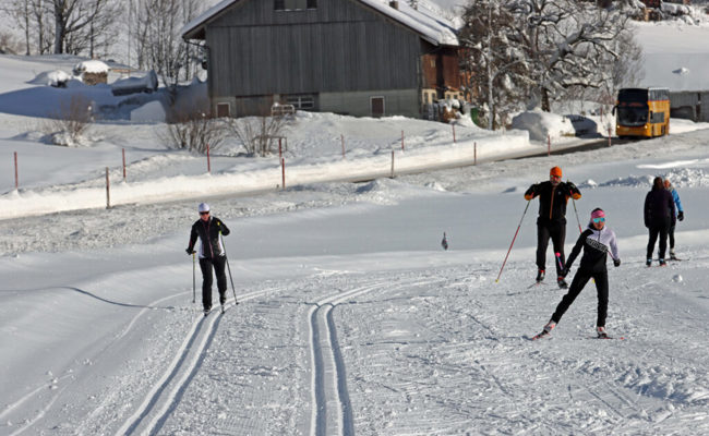 Boom auf der Loipe: Wintersportler haben das Langlaufen entdeckt