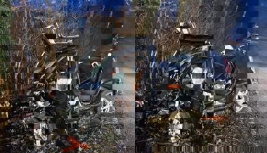 Von Strasse abgekommen und mit Baum kollidiert: Schwerverletzter bei Unfall in Schellenberg