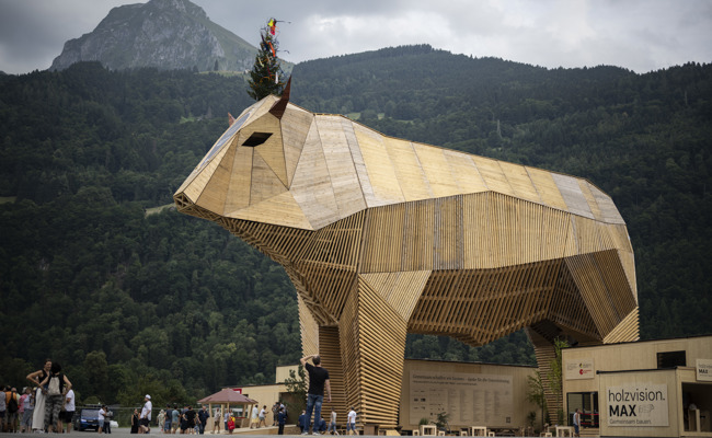 Muni Max ist schon jetzt der König des Eidgenössischen Schwingfests – warum er trotzdem für Knatsch sorgt