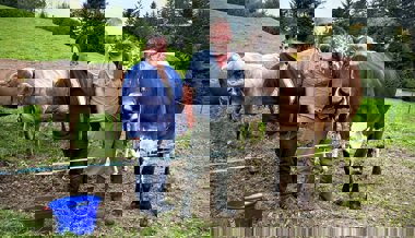 Blauzungenkrankheit: Betroffenes Ehepaar spricht über das Virus, das im Toggenburg um sich greift