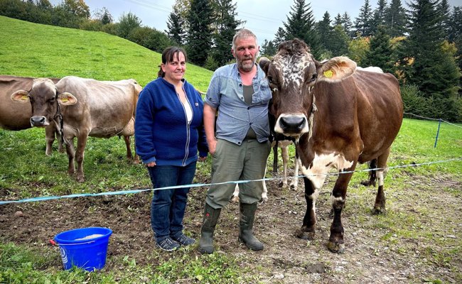 Blauzungenkrankheit: Betroffenes Ehepaar spricht über das Virus, das im Toggenburg um sich greift