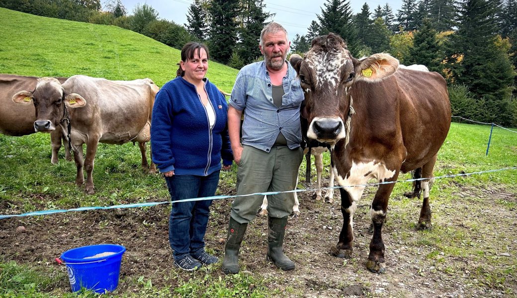 Blauzungenkrankheit: Betroffenes Ehepaar spricht über das Virus, das im Toggenburg um sich greift