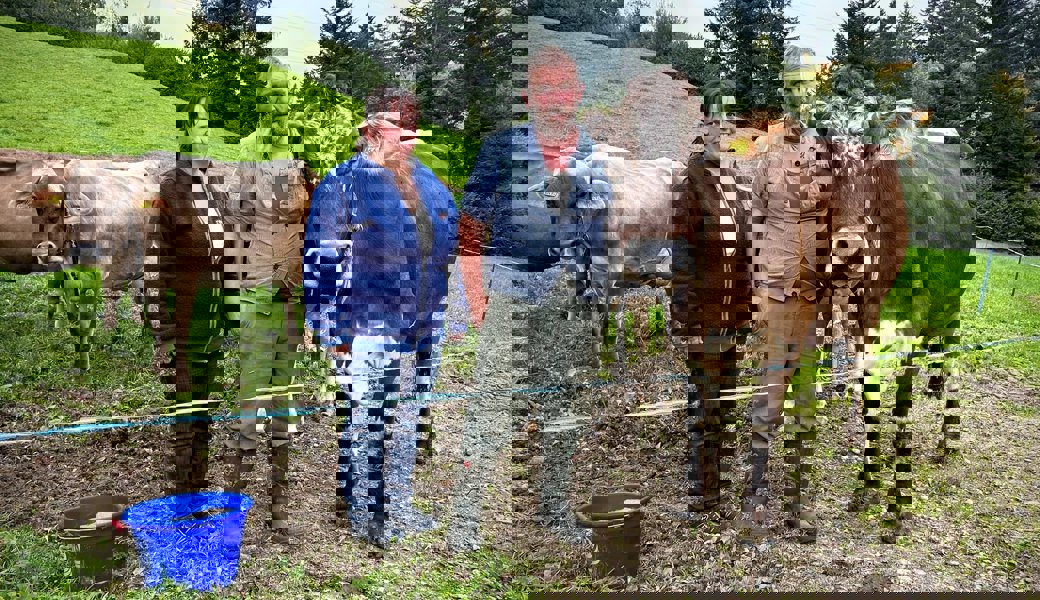 Blauzungenkrankheit: Betroffenes Ehepaar spricht über das Virus, das im Toggenburg um sich greift