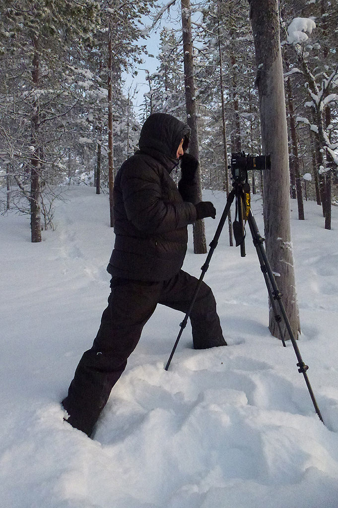 Ars Silentium: «Sonnenuntergänge gibt es im Internet zuhauf, das sättigt»