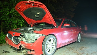 Angetrunken in Mauer und Verkehrsschild gefahren