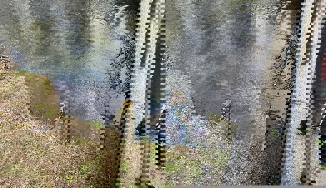 Öl in den Werdenberger Binnenkanal gelaufen