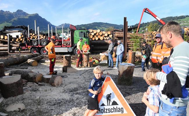 Von der Wurzel bis zum Werkstück: Das Hölzerne zur Schau gestellt