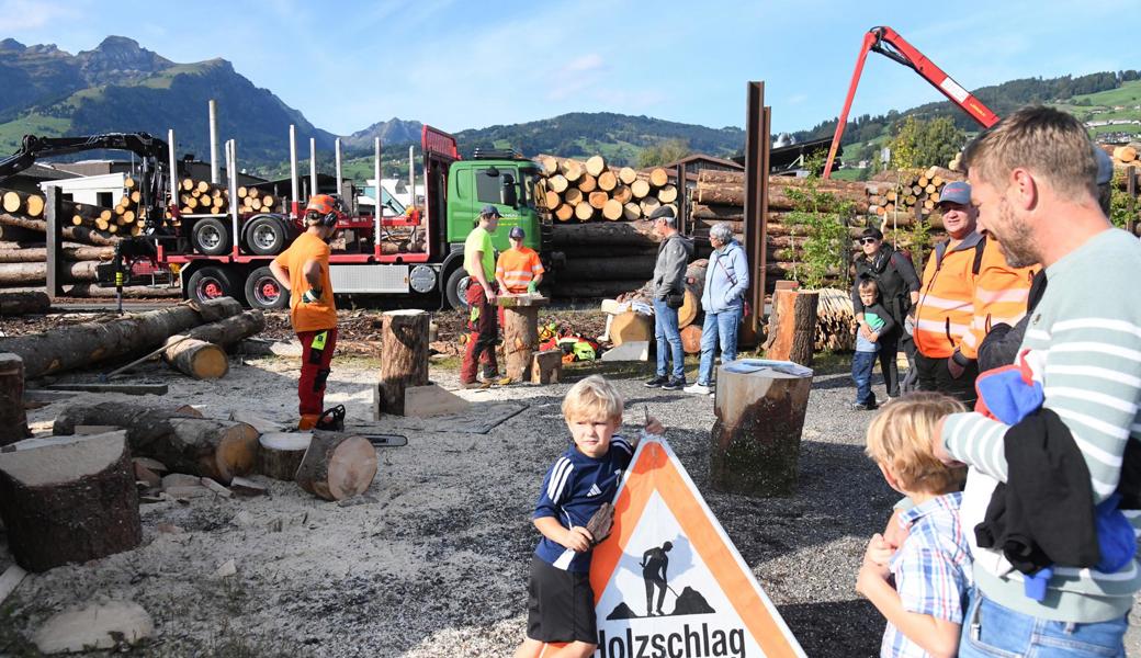 Von der Wurzel bis zum Werkstück: Das Hölzerne zur Schau gestellt