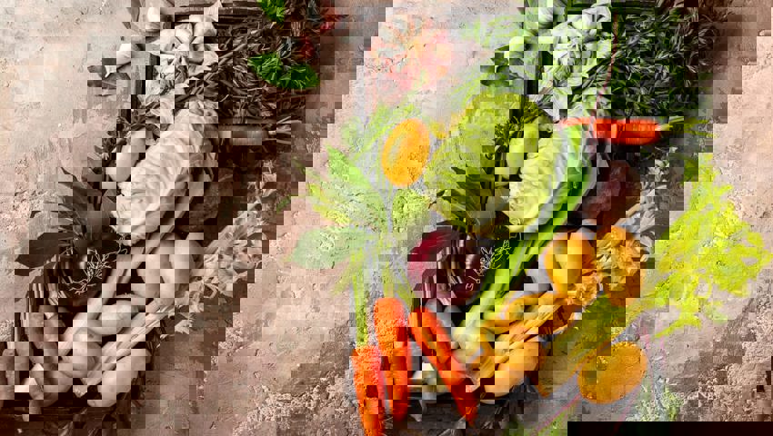  Frische Küche mit regionalen Produkten sei gesund, so Regina Allemann. 