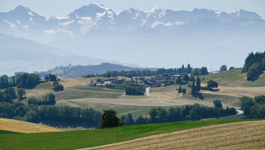 Der Blick vom Gurten über trockene Felder in Richtung Englisberg und Berner Alpen. 