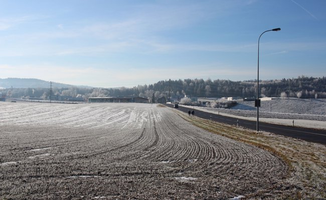Fruchtfolgeflächen kompensieren, geht das überhaupt? – «Nur, wenn man es richtig macht»