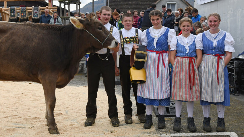  Zum Rinderchampion erkoren wurde Baerli, eine Egidio-Tochter von Martin Gasenzer, Eggenberg.