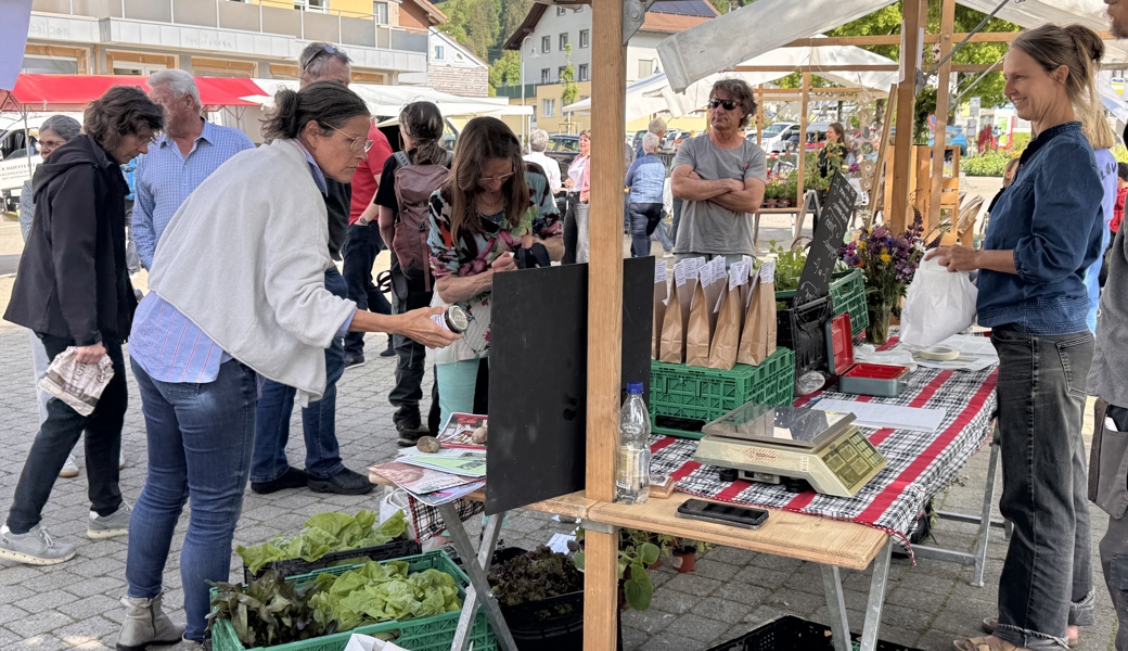 Viele Besucherinnen und Besucher nutzten das Angebot in der Gemeinde Wildhaus-Alt St.Johann. 