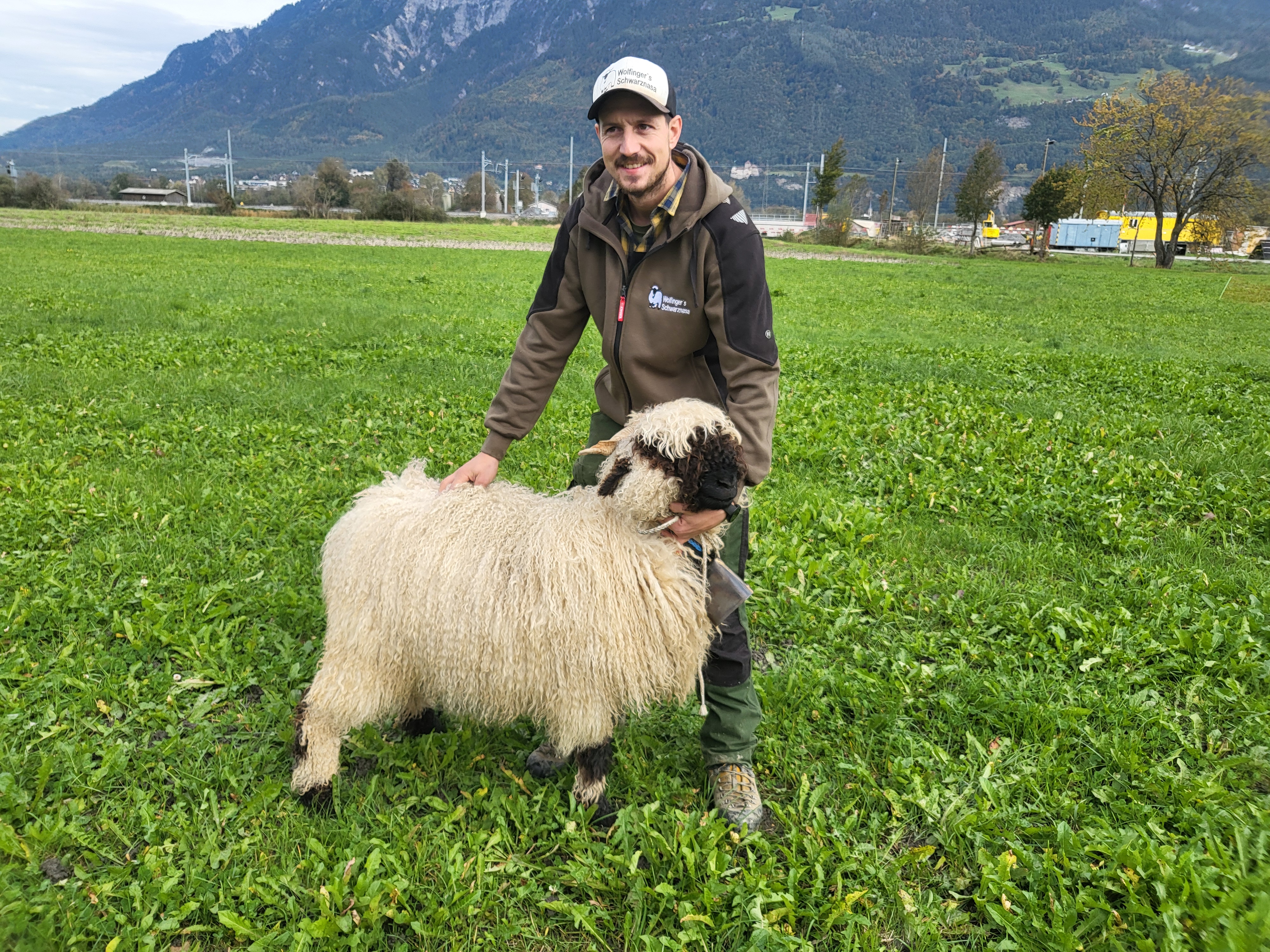 Miss Walliser Schwarznasenschaf – Besitzer Michael Wolfinger.