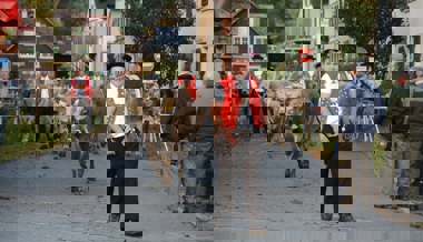 Die Viehschau-Saison geht zu Ende: Shakira ist neue «Miss Grabs» – eine «Miss Werdenberg» gibt es dieses Jahr nicht