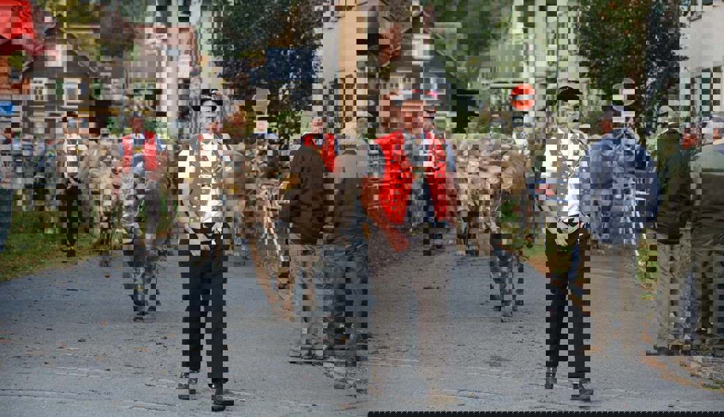 Kuh Shakira von Werner Eggenberger, Kuhnenboden, wurde nicht nur «Miss Grabs». 