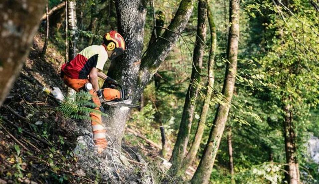 Holzerarbeiten in steilem Gelände ob Rüthi.