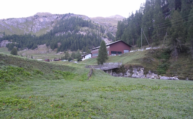 Am Sonntag, frühmorgens um 6 Uhr: Jäger erschiesst Pferd, das er für einen Hirsch gehalten hat