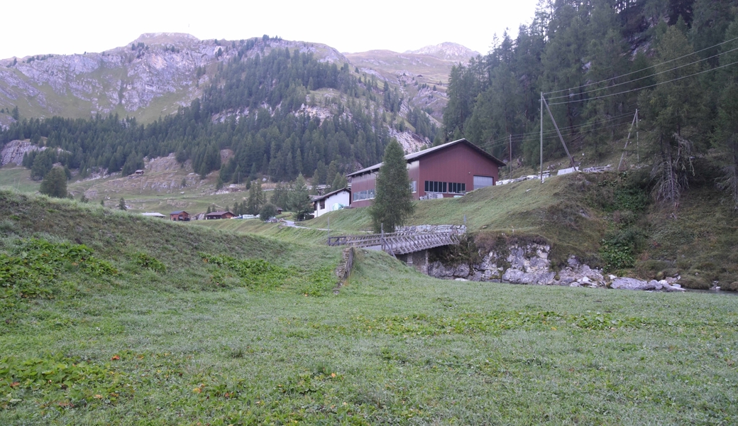 Am Sonntag, frühmorgens um 6 Uhr: Jäger erschiesst Pferd, das er für einen Hirsch gehalten hat