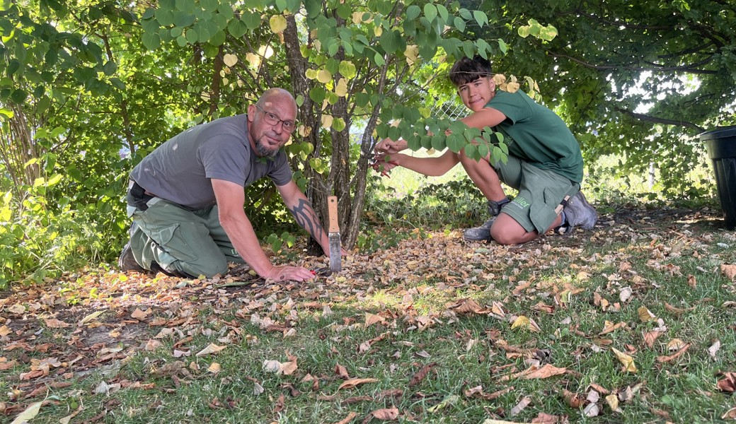So läuft es bei Hitze am Arbeitsplatz