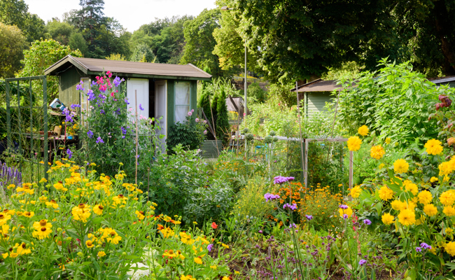 Ortsbürgerschaft stimmte Rechnung und Budget zu