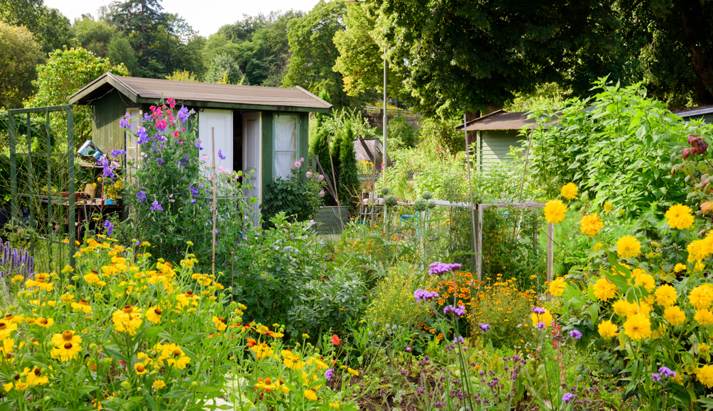 Ortsbürgerschaft stimmte Rechnung und Budget zu