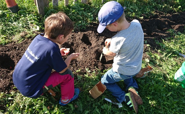 Kinder bereichern Gemeinschaftsgarten