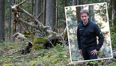 Holz, Wasser und eine unsichtbare Kraft: Was steckt hinter Mondholz?