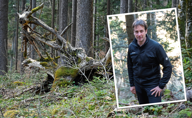 Holz, Wasser und eine unsichtbare Kraft: Was steckt hinter Mondholz?