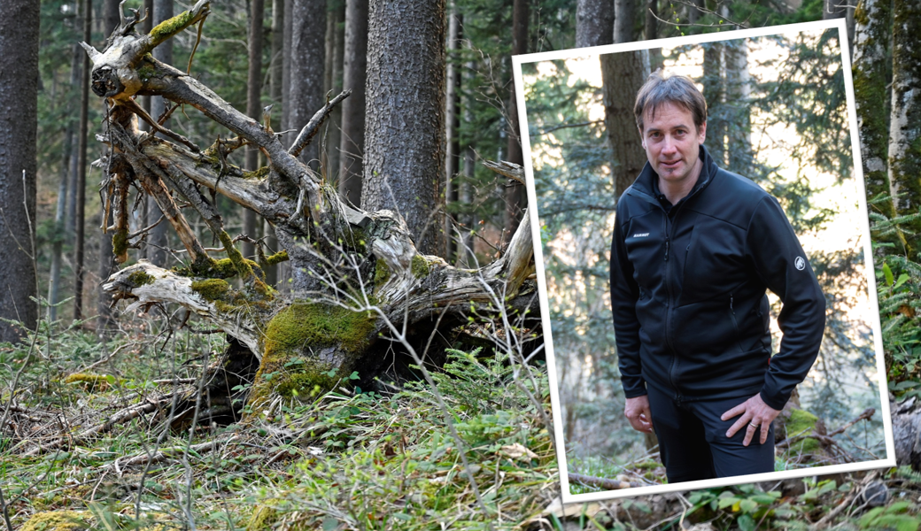 Roman Gabathuler macht sich dafür stark, dass Mondholz nicht als «esoterischer Gugus» abgestempelt wird.