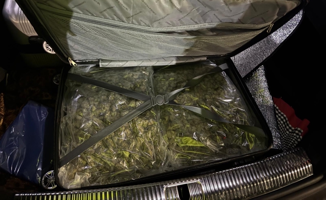 Mit zwei Koffern voller Marihuana angehalten