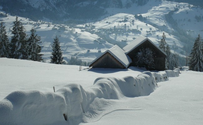 Winterliches Obertoggenburg: Ein Traum in Weiss