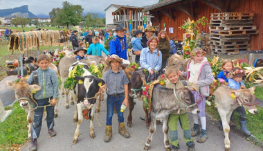 Feiertag des Bauernstands: Grosse Wartauer Prämienschau