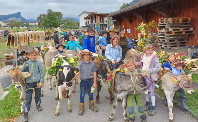 Feiertag des Bauernstands: Grosse Wartauer Prämienschau