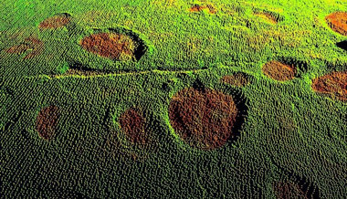 Laser, GPS und Dinosaurierspuren: Wie Heinrich Wild und Albert Einstein die Welt veränderten