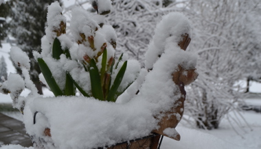 Eine Ladung Neuschnee in den Bergen