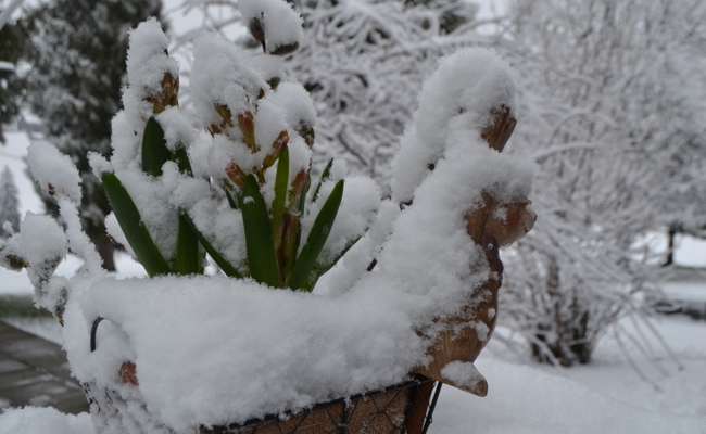 Eine Ladung Neuschnee in den Bergen