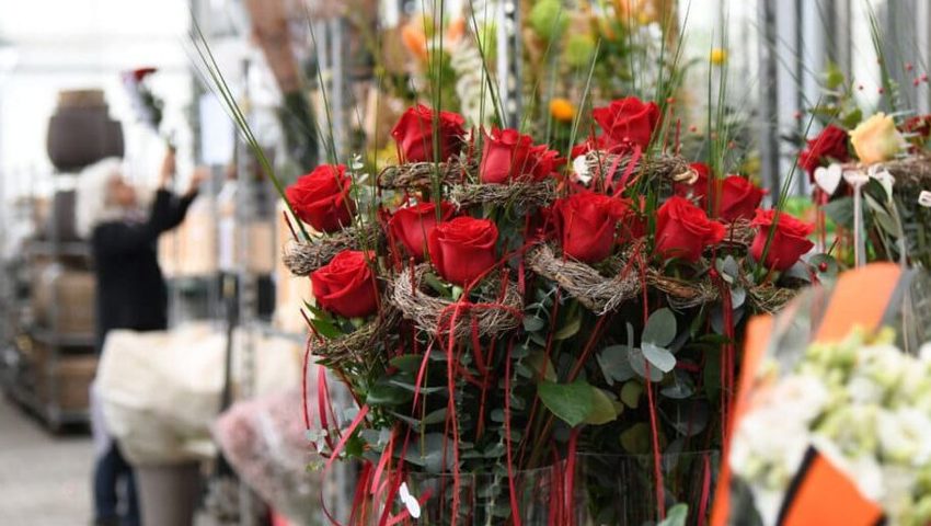  Rote Rosen sind der Klassiker am Tag der Liebe.