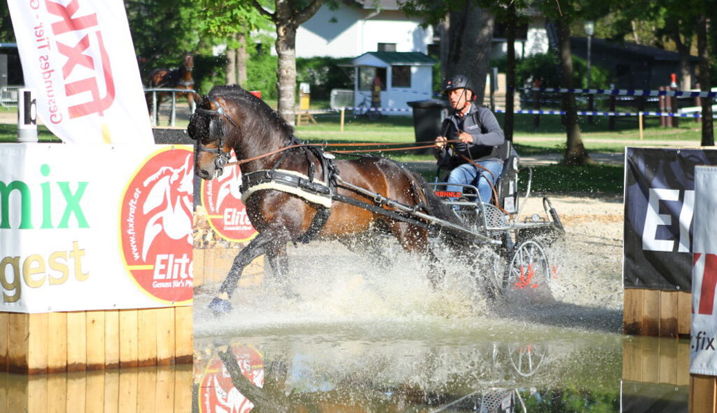  Sieg in allen drei Teilprüfungen: Leo Risch und Envol. 