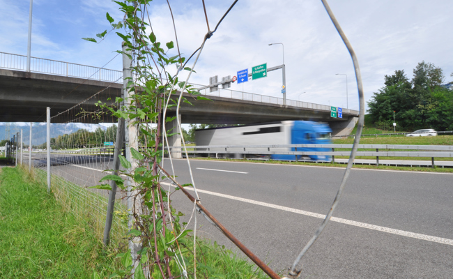 Fünf Jahre Bauzeit, 65 Mio. Franken Kosten: Neue Brücke über die Autobahn und Umgestaltung des Anschlusses