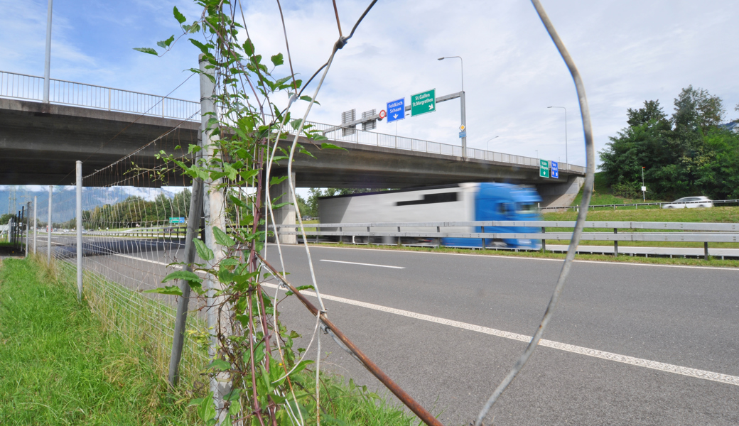 Die Brücke über die A13 bei Buchs muss dringend ersetzt werden: Einige Meter rechts davon wird eine Hilfsbrücke erstellt.