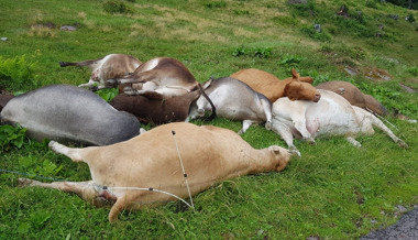 Wegen Blitzschlag: Zehn Tiere sterben auf Alp Lärchenbödeli