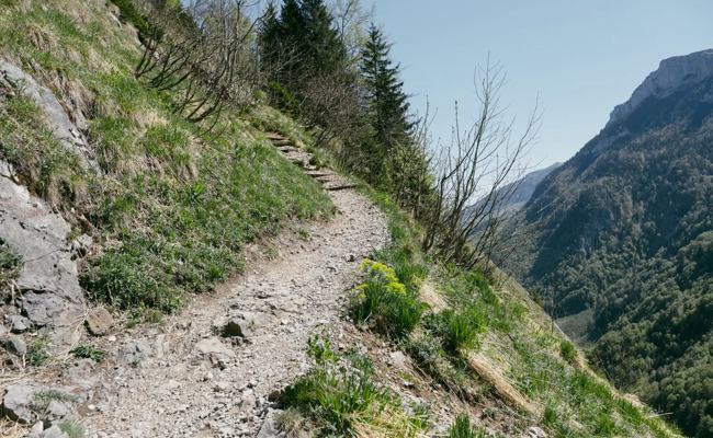 Wenige Wochen nach Wegsanierung: Österreicherin stürzt zwischen Aescher und Seealpsee in den Tod