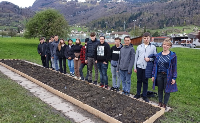 Umgebung des Oberstufenzentrums Seidenbaum im Wandel