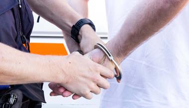 Frau hilft der Polizei, einen Dieb festzunehmen