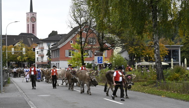 Stolze Kühe, stolze Bauern und ein Kalb als Hauptpreis