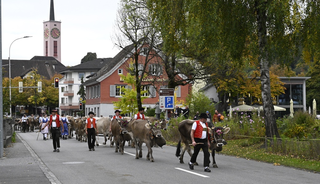 Stolze Kühe, stolze Bauern und ein Kalb als Hauptpreis