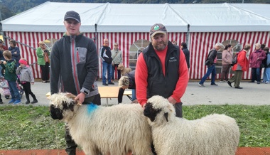 Traditionelle Schaf- und Gitzischau mit gut besuchten Herbstmarkt