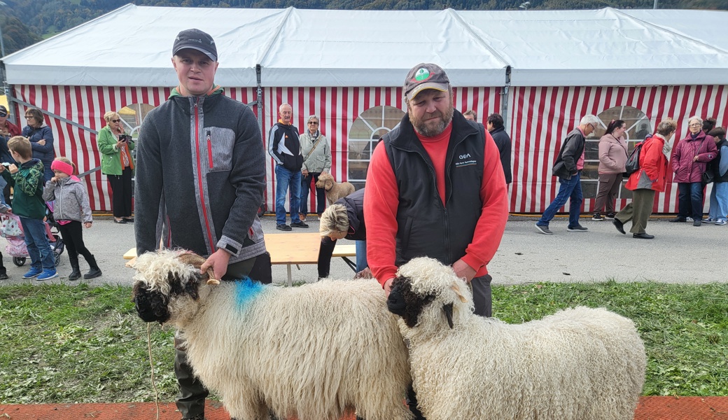 Die Siegerschafe in der Kategorie «Mutter-Tochter über alle Rassen» von Uwe Möhr.