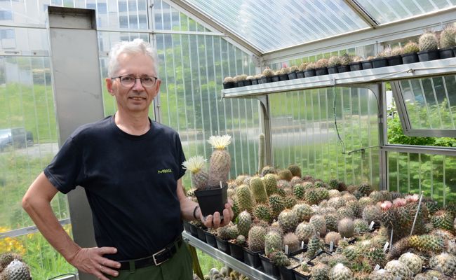 In Eigenregie zum Kakteenkenner